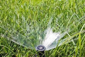 Diagnosing Sprinkler Valve Leaks: 8 Causes and Their Fixes